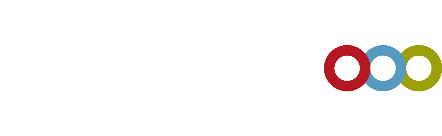 Vision Zero partner hvid forebyggelsestrappen